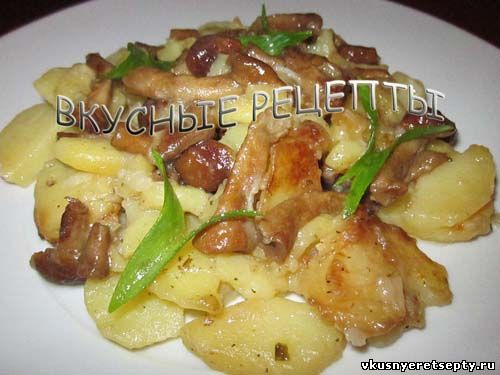 Готовим аппетитную картошку с курицей и грибами в мультиварке