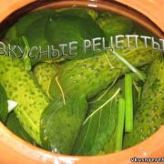 Малосольные огурцы быстрого приготовления